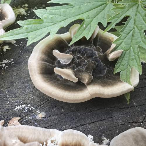 Photo #9574255