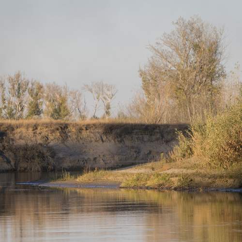 Photo #9574302