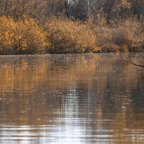 Photo #9574305