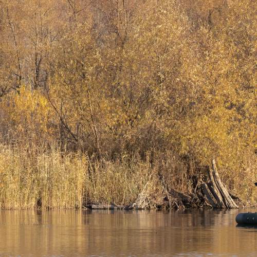 Photo #9574309