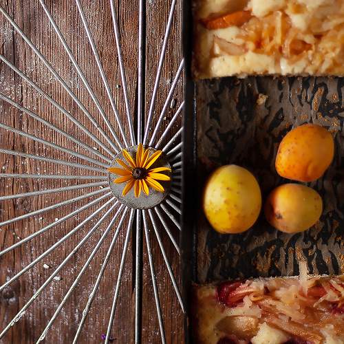 Photo #9574445