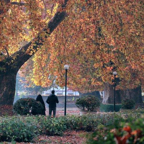 Photo #9574449