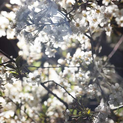 Photo #9574453