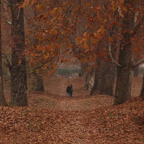 Photo #9574605