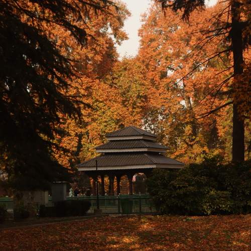 Photo #9574626