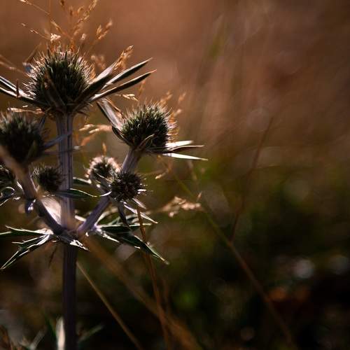 Photo #9574816