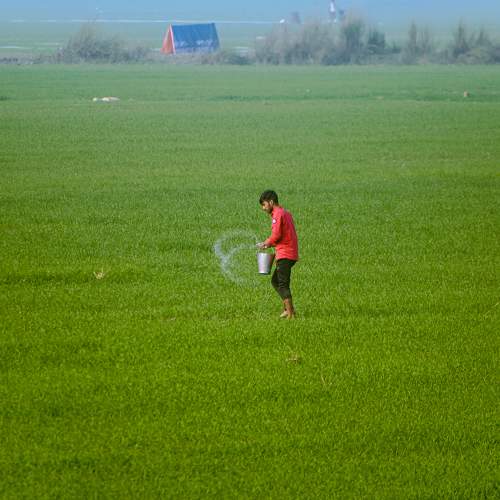 Photo #9574833