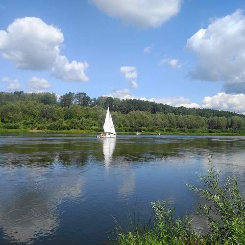 Photo #9574952