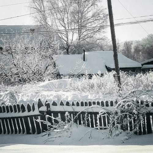 Photo #9575035