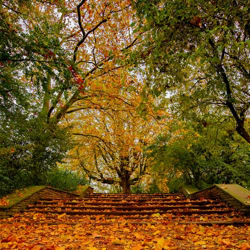 Photo #9575108