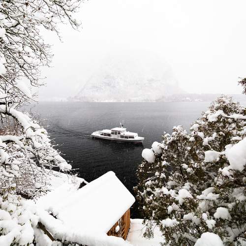 Photo #9575156