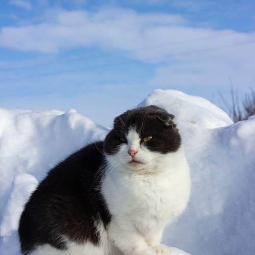 Photo #9575243