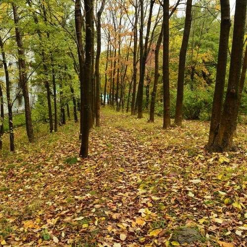 Photo #9575247