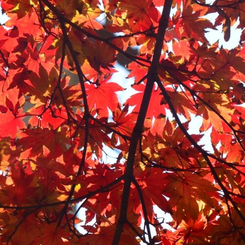 Photo #9575269