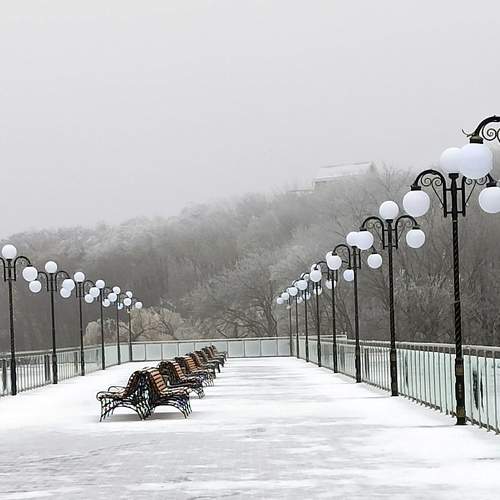 Photo #9575483