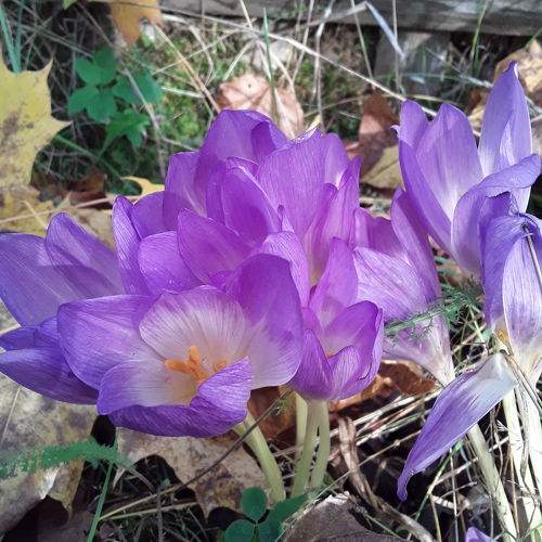 Photo #9575511