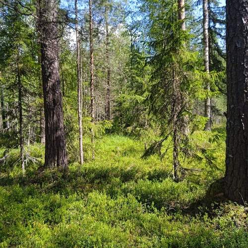 Photo #9575512