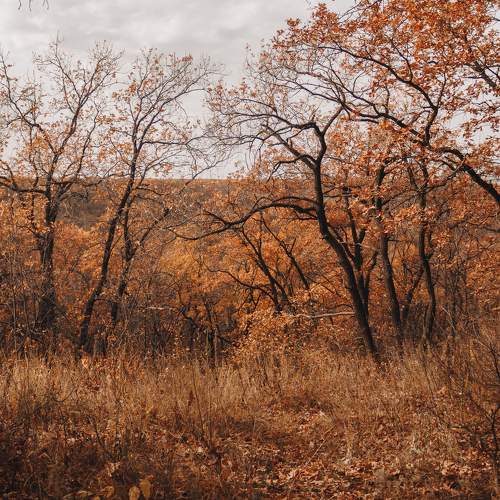 Photo #9575515