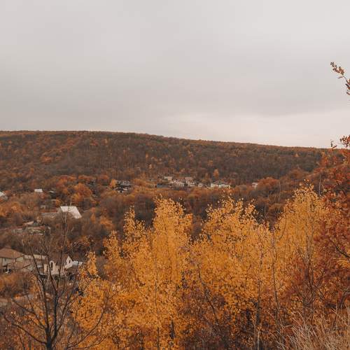 Photo #9575518