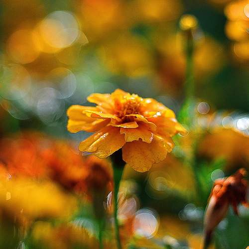 Photo #9575539