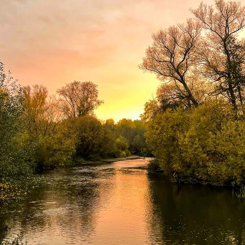 Photo #9575836