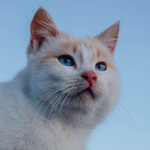 Photo #9575907