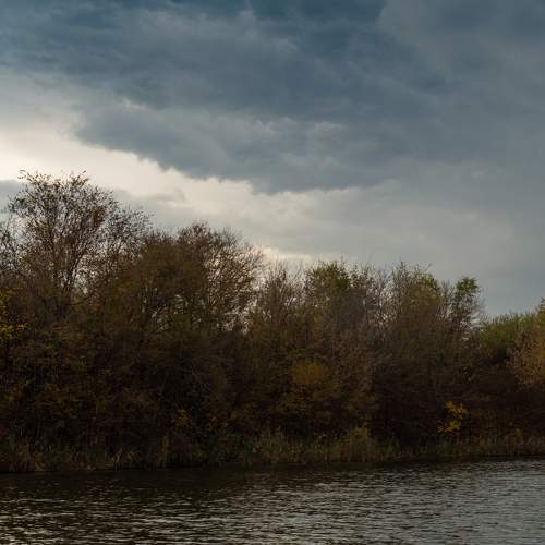 Photo #9575955