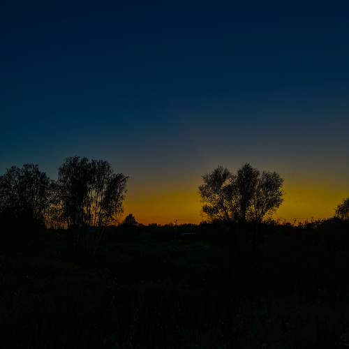 Photo #9576155