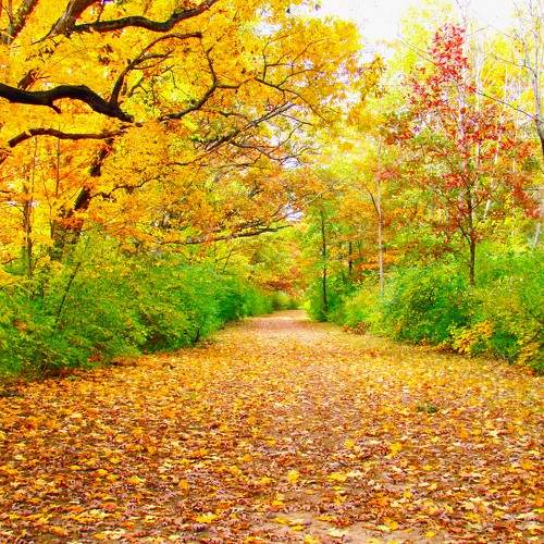 Photo #9576167