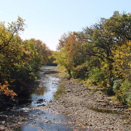 Photo #9576182