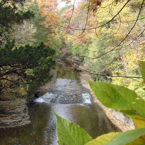 Photo #9576213