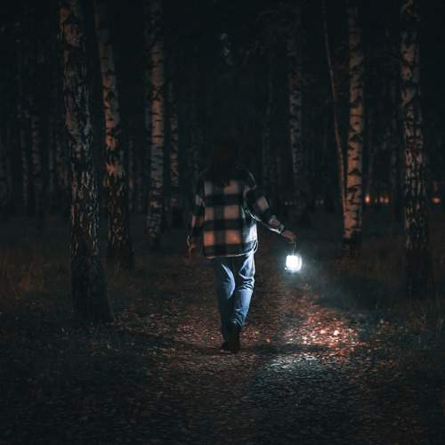 Photo #9576263
