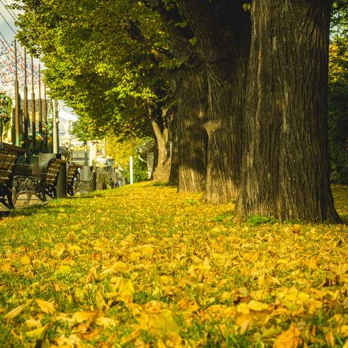Photo #9576298