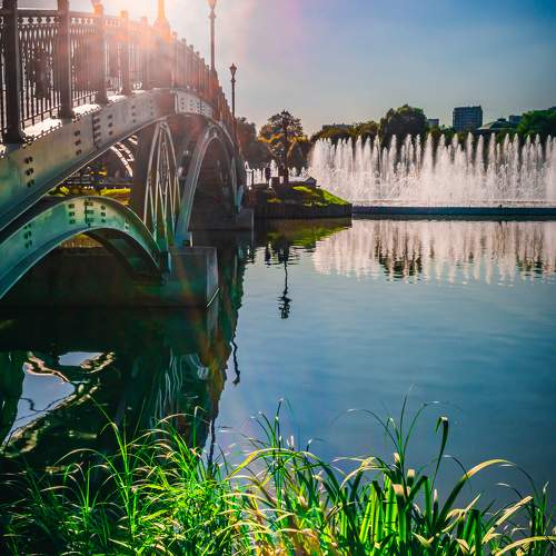 Photo #9576312