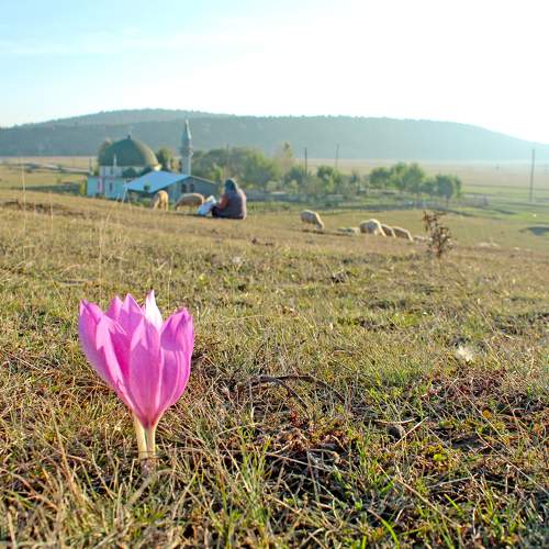 Photo #9576348