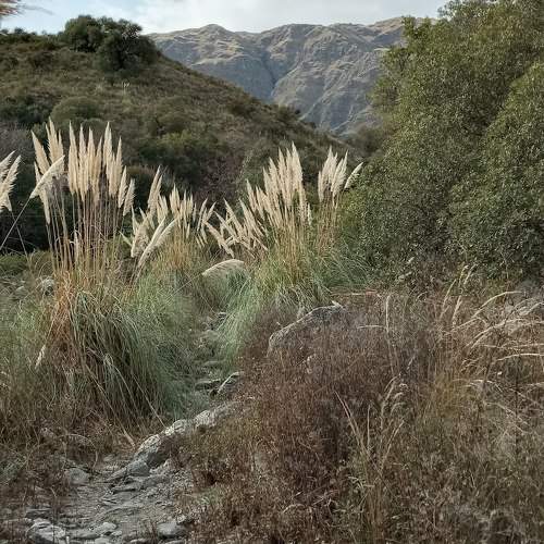 Photo #9576376