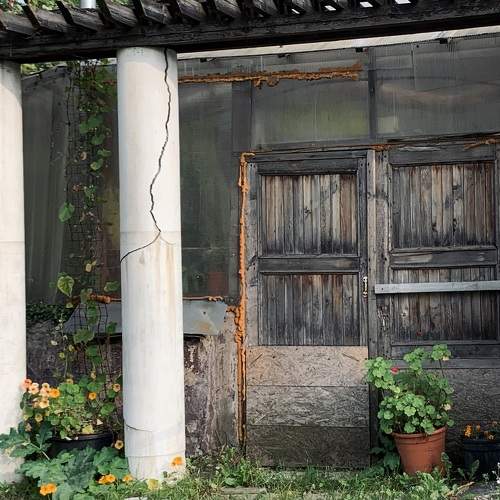Photo #9576377