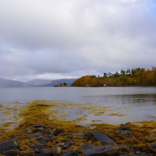 Photo #9576798