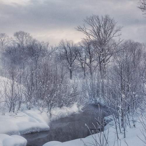 Photo #9577118