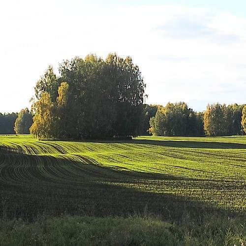 Photo #9577256