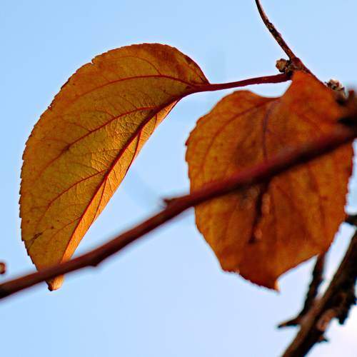 Photo #9577386