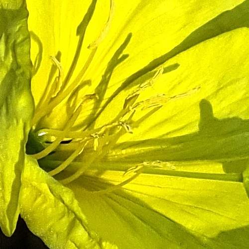 Photo #9577428