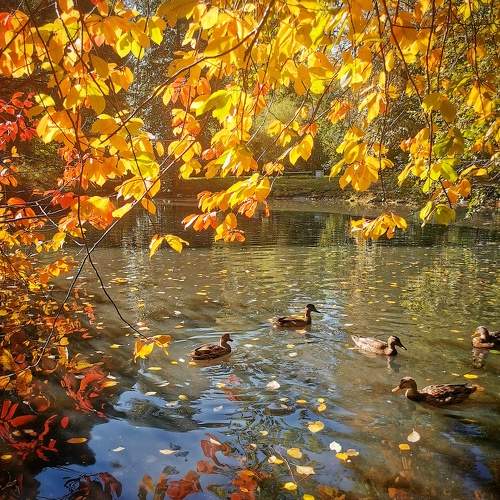 Photo #9577719