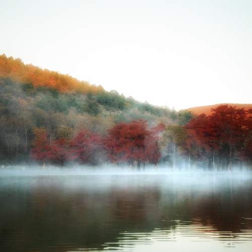 Photo #9577959