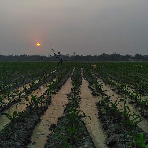 Photo #9578026
