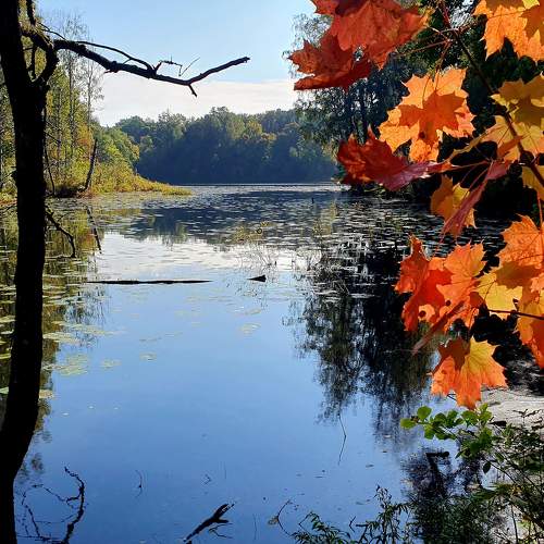Photo #9578162