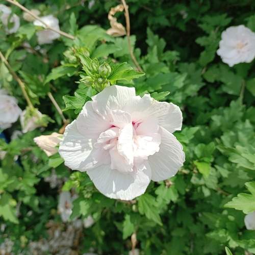 Photo #9578502
