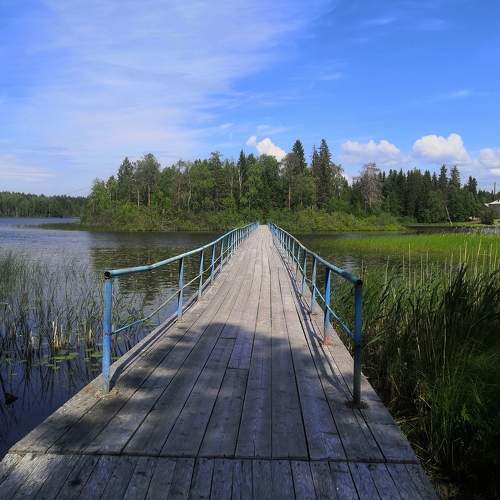 Photo #9578580