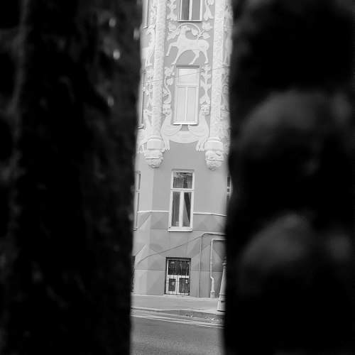 Photo #9578808