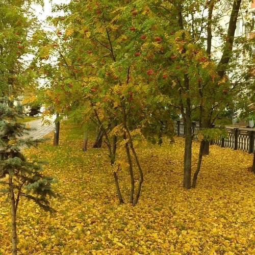 Photo #9578940